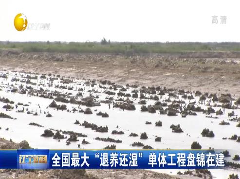 全國最大“退養還濕”單位工程盤錦在建